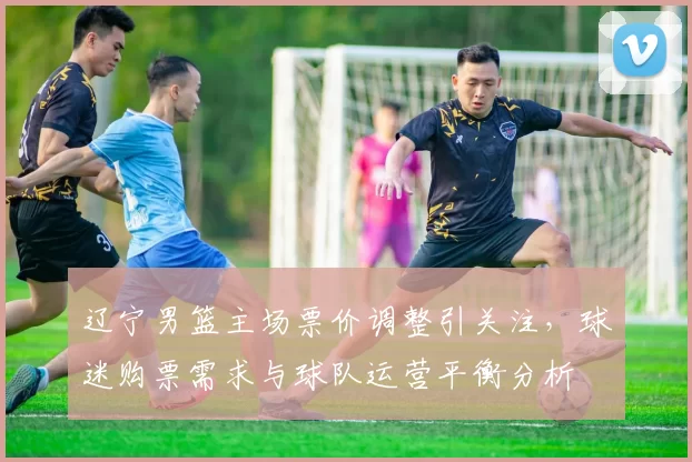 辽宁男篮主场票价调整引关注，球迷购票需求与球队运营平衡分析