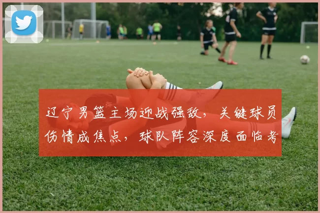 辽宁男篮主场迎战强敌，关键球员伤情成焦点，球队阵容深度面临考验