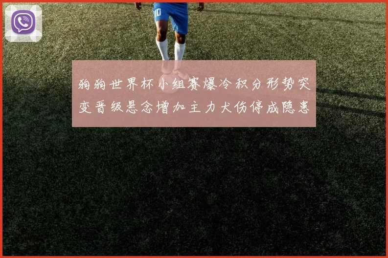 狗狗世界杯小组赛爆冷积分形势突变晋级悬念增加主力犬伤停成隐患